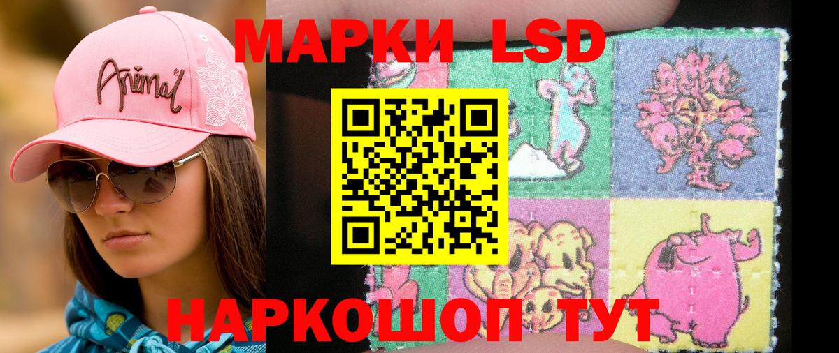 Марки NBOMe 1,5мг Дмитров