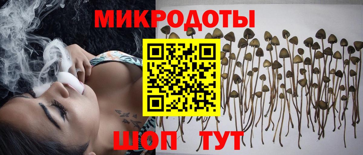 Псилоцибиновые грибы мухоморы Дмитров